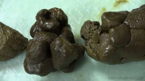 DirtyMaryan Pooping and showing texture of my shit