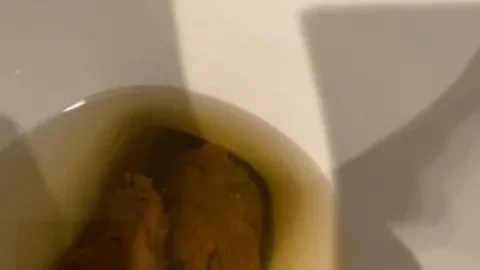 Brownsensations POV Shitting