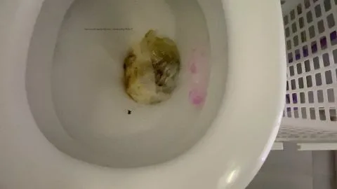 AliceTop I pee on my poop (€10 99 YezzClips)