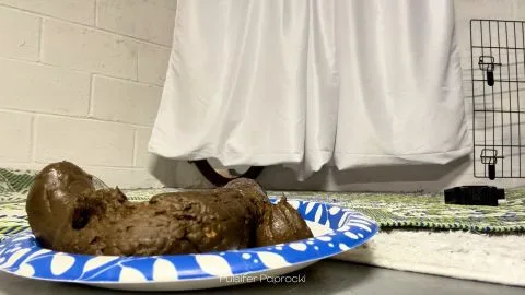 Pulsifer Paprocki Rock Solid Log 4K ($12 99 Femscat)