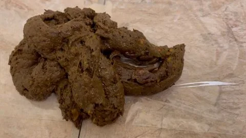 Sophia Sprinkle Shitting 1 2 lb for LOSER Paypig Sub!