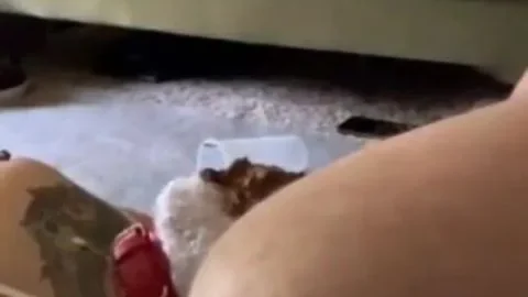 Portapottyqueen MasterБ s little toilet choked on his massive shit