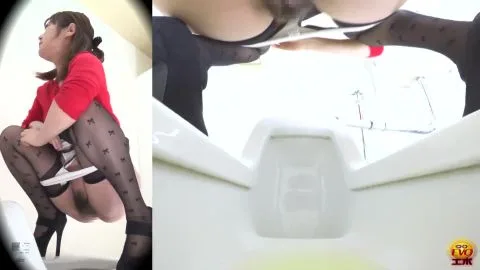 EE 213 FC[ilovescat net]