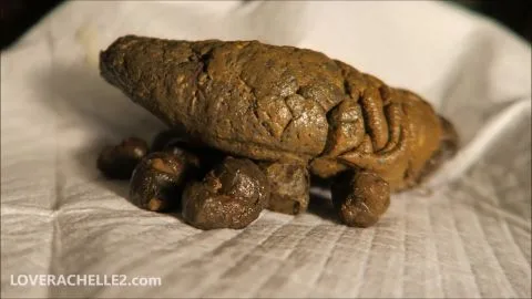 LoveRachelle2 – 4 Massive Dumps! ($8.99 ScatSy)