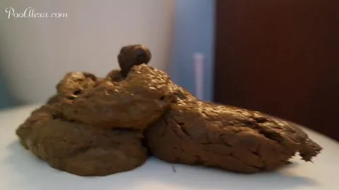 Couldn’T Hold It / [ilovescat net]