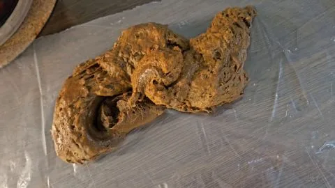 LaTsuna Living Room Load