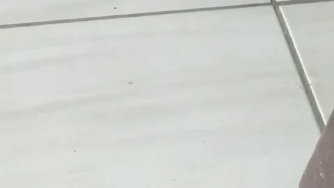 MabelScat Me pintando de marrom