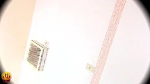 EE 336 Office Ladies Seminar Venue Voyeur (Bonus) {Se7EnSeas} FC[ilovescat net]