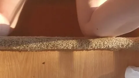 PrincessBabyLuna – Sharing My Load ($20.99 Femscat)