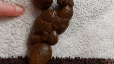 PooGirlSofia Mom s Stinky Poo