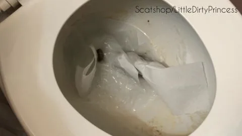 LittleDirtyPrincess 2 Hole Stretching Turds And Poop On A Plate [ilovescat net]