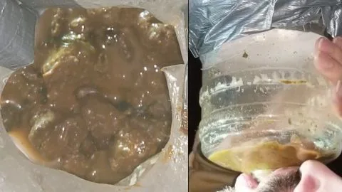 SSBBW Queen Siya 40 Minutes Stuffing my Slaves Stomach