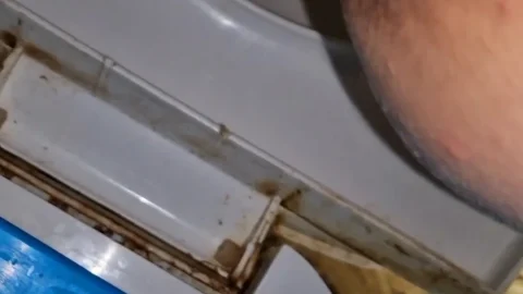 Kitty Skatt – 3 constipated festival logs  ($11.99 Femscat)