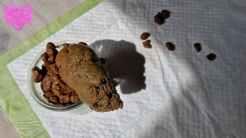 Kitty Skatt – Overfilling the jar terrible smell mp4